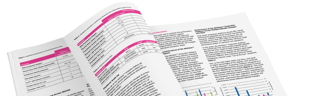 AAV Whitepaper Preview