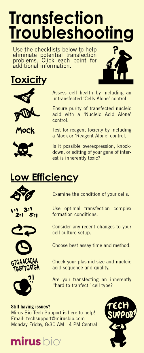 Checklist for troubleshooting transfection.
